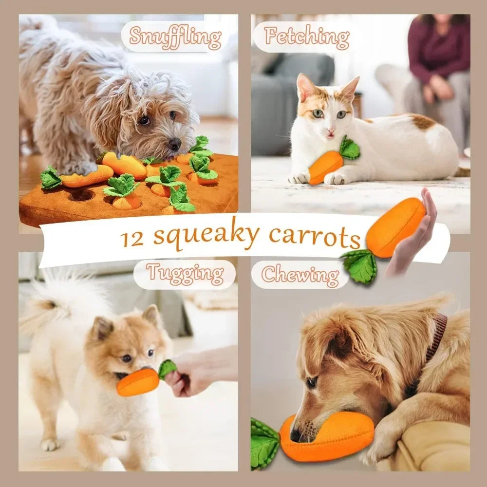 Carrot Snuffle Mat
