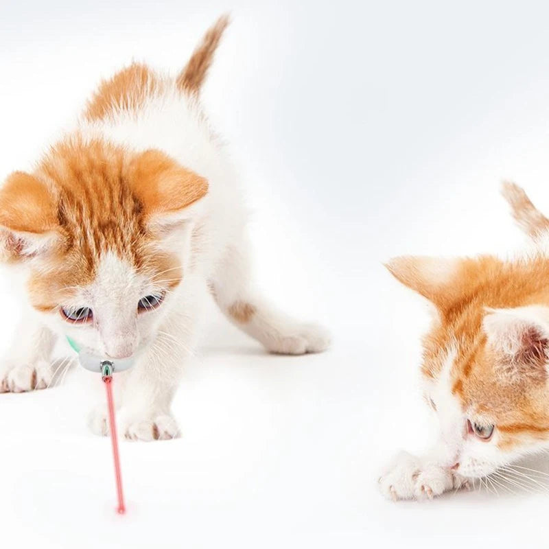 Teasing Cat Toys  laser Cat Collar